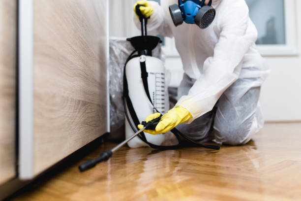 Trusted Tecumseh, MI Pest Control Experts