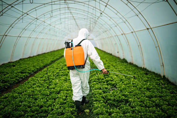 Best Pest Prevention Services  in Tecumseh, MI