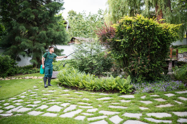Best Exterminator Services  in Tecumseh, MI