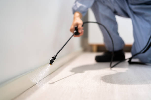 Pest Control Cost in Tecumseh, MI