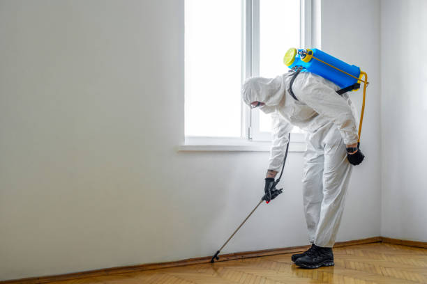 Best Residential Pest Control  in Tecumseh, MI