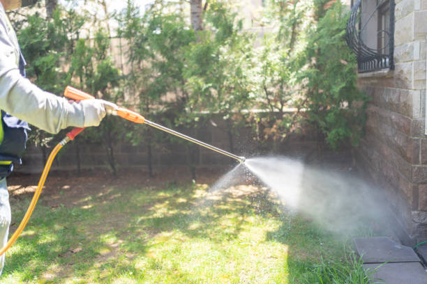Best Spider Control Near Me  in Tecumseh, MI