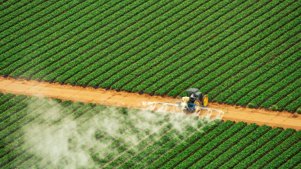 Best Mosquito Control Services  in Tecumseh, MI