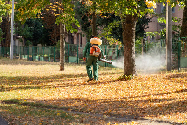 Best Bird Control  in Tecumseh, MI