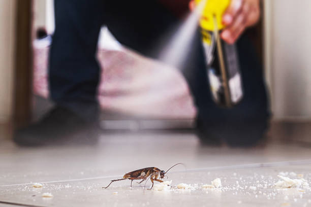 Best Insect Control  in Tecumseh, MI