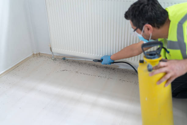 Best Emergency Pest Control  in Tecumseh, MI