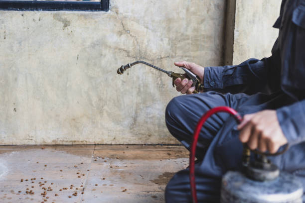 Best Residential Pest Control  in Tecumseh, MI